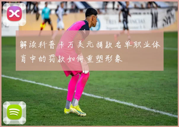 解读科普卡万美元捐款名单职业体育中的罚款如何重塑形象